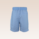 Gabriel Turquoise Striped Shorts