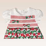 Lany Baby Girls Printed Fruit Smocked Front with Bows and Diaper Cover
