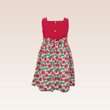 Lisa Girls Red Printed Smocked Dress