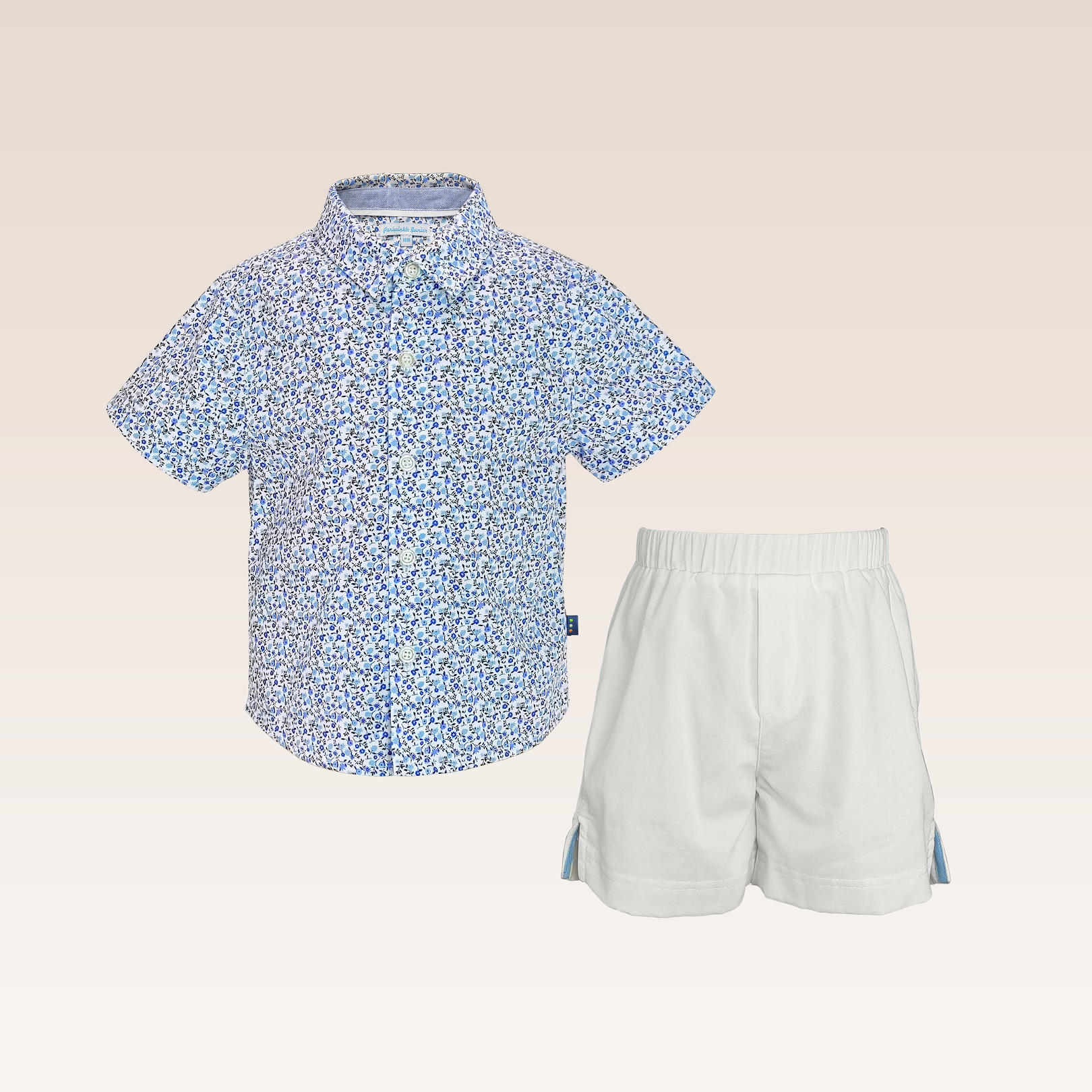 Donnie Baby Boy Blue Printed Polo and Shorts Set