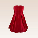 Thess Girls Party Dress with Pouch