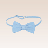 Nemo Boys Top and Shorts Set with Bowtie and Belt