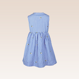 Iridesa Girls Blue Striped Button-Front Dress