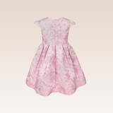Olenna Girls Pink Textured Party Dress