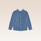 Malcolm Boys Blue Button-Down Long Sleeves