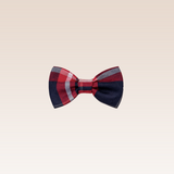 Thessa Girls Red Bow Clip