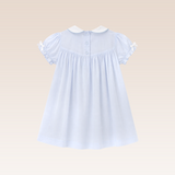 Rina Baby Girls Light Blue Embroidered Dress