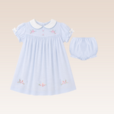 Rina Baby Girls Light Blue Embroidered Dress