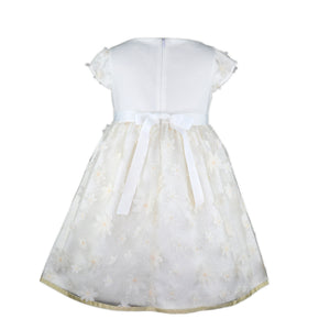 Annika Ivory Applique Floral Party Dress