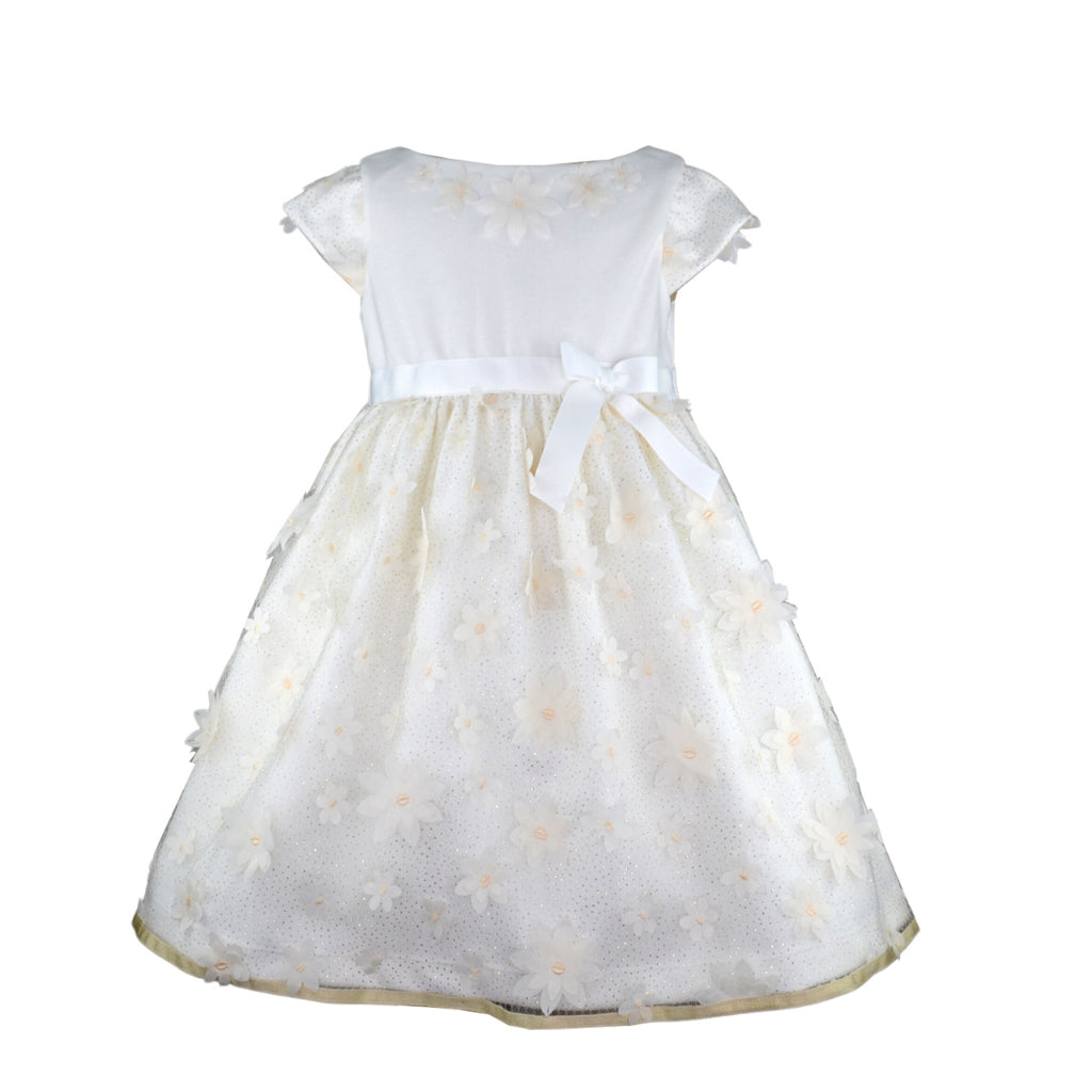 Annika Ivory Applique Floral Party Dress